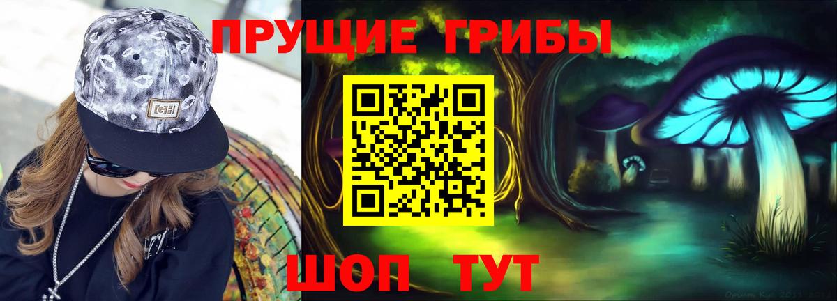 Елец  Псилоцибиновые грибы мицелий  Вход с VPN 